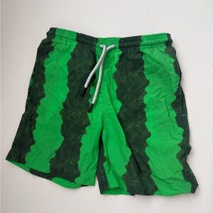 Nessi Byrd Kids' Green-Black Stripe Quick-Dry Swim Trunks size 8